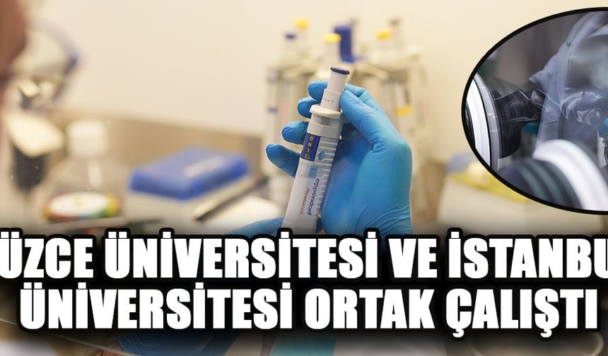 TÜRK BİLİM İNSANLARI KIYI KOROZYONU RİSKLERİNİ YAPAY ZEKAYLA BELİRLEYECEK