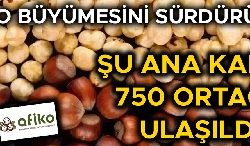 UZUN: “FINDIĞI İŞLEYEREK GERÇEK DEĞERİNDE SATACAĞIZ”