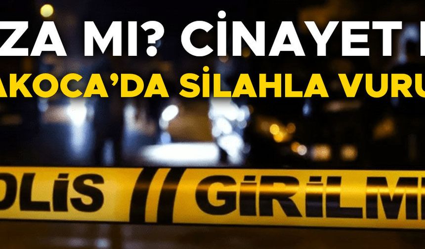 BİR KİŞİ HAYATINI KAYBETTİ 2 ŞÜPHELİ GÖZALTINDA…