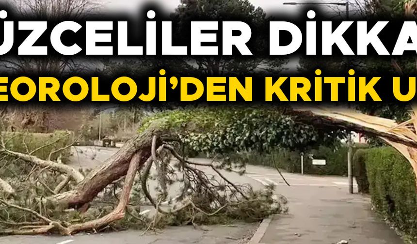 DÜZCE’Yİ KUVVETLİ RÜZGAR VE FIRTINA VURACAK