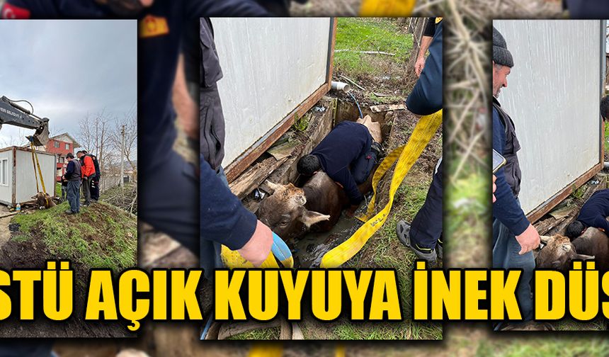 EKİPLERİN TİTİZ ÇALIŞMASI SONUCU İNEK KUYUDAN ÇIKARTILDI