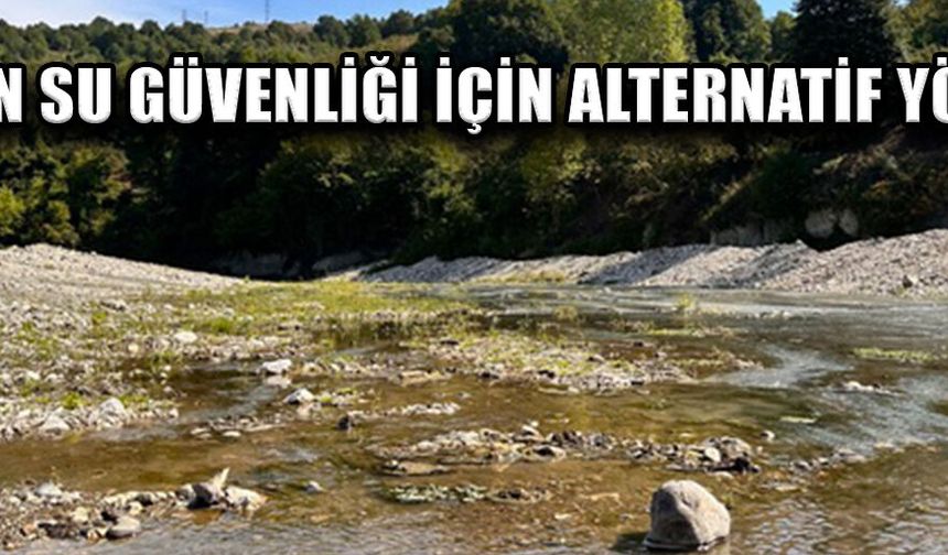 SU BİTKİLERİ İLE DOĞAL ARITMA YÖNTEMİ GERÇEKLEŞTİRİLİYOR