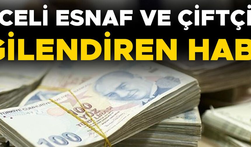 HAZİNE DESTEKLİ KREDİLERDE ESASLAR YENİDEN BELİRLENDİ