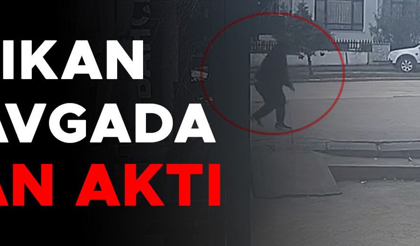 YOLDAN GEÇEN KADIN DA KURŞUNLARIN KURBANI OLDU