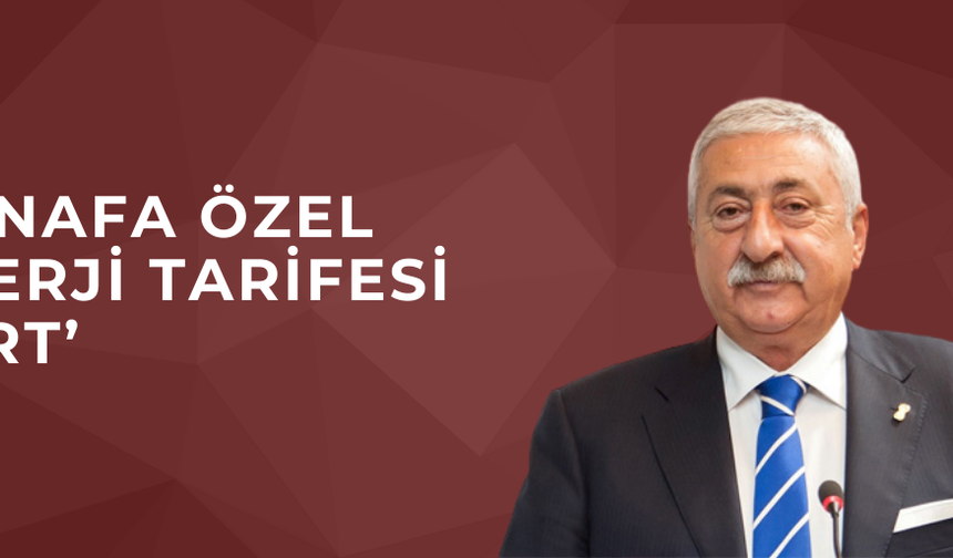 DÜZCELİ ESNAF YÜKLÜ FATURALARDAN DERTLİ…