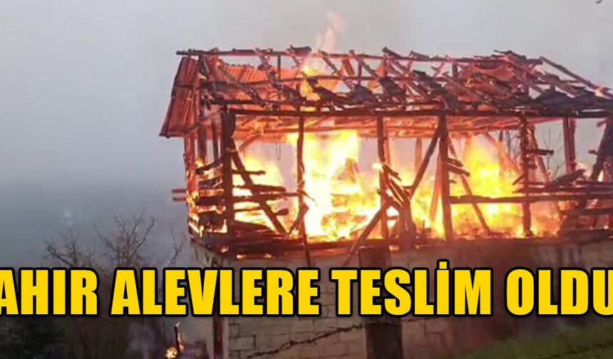 CAN KAYBI OLMAMASI YÜREKLERE SU SERPTİ