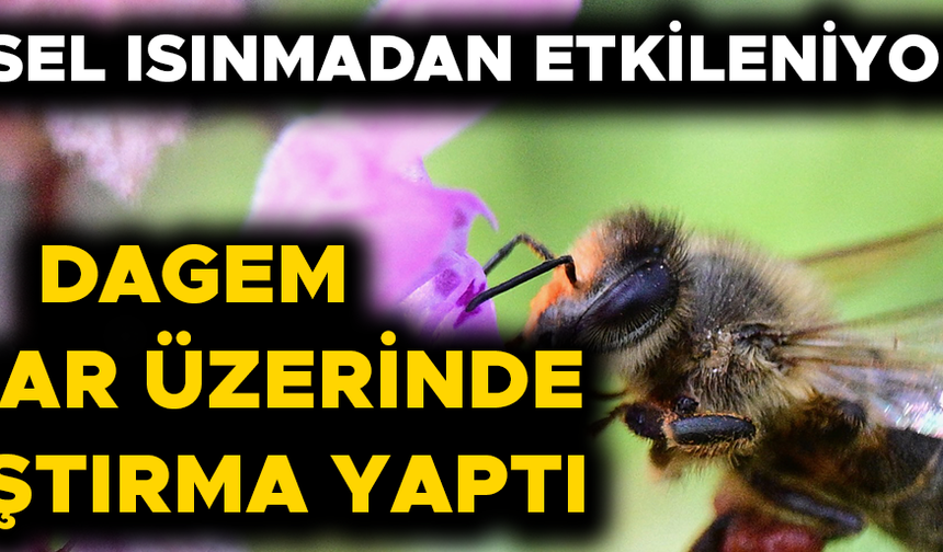 LABORATUVAR ÇALIŞMALARININ SONUÇLARI AÇIKLANDI