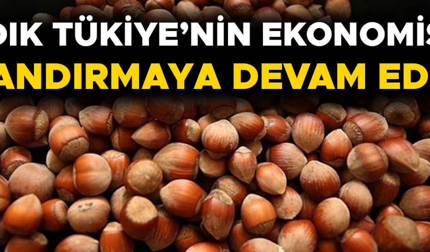 MİLYONLARCA DOLAR GELİR ELDE EDİLDİ