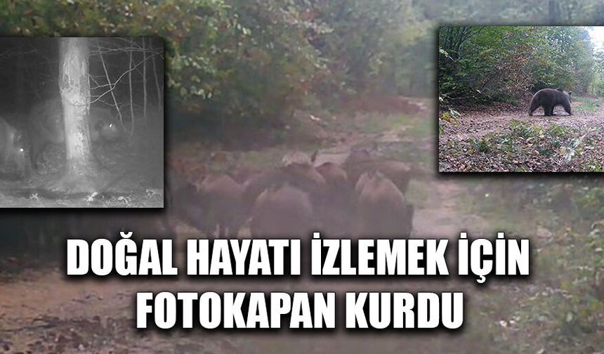 “İNSANIN DOĞAYA VERDİĞİ ZARARI BAŞKA HİÇ KİMSE VEREMEZ"