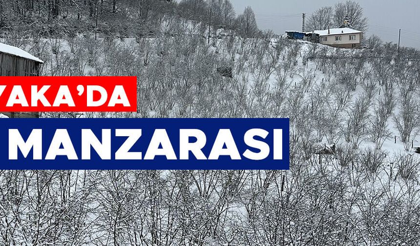 YÜKSEK KESİMLER BEYAZ ÖRTÜYLE KAPLANDI