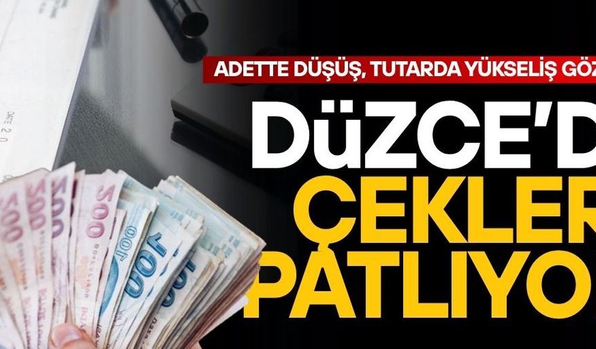 DÜZCE’DE KARŞILIKSIZ ÇEK VERİLERİ DİKKAT ÇEKTİ
