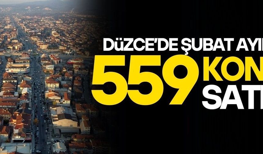 KONUT SATIŞ RAKAMLARI AÇIKLANDI