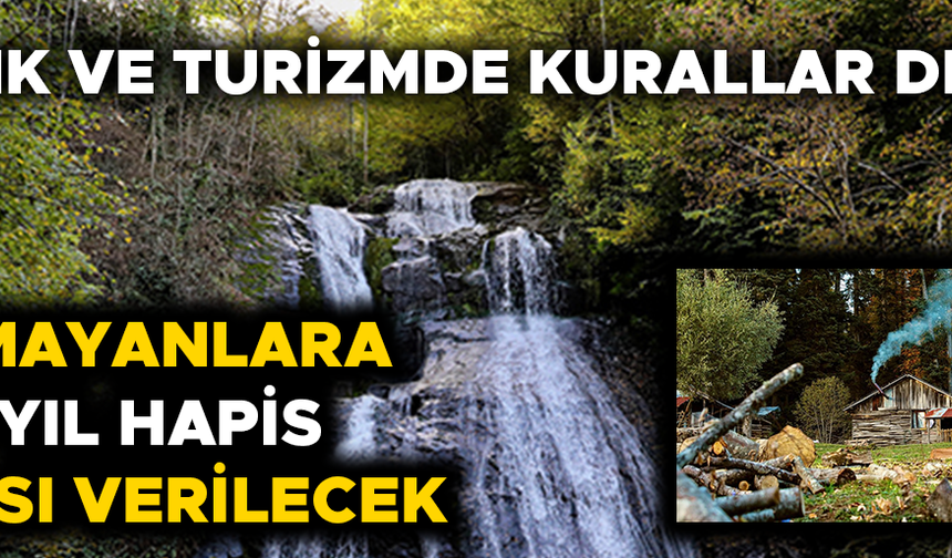 DÜZCE’DEKİ MİLLİ PARKLARA YÖNELİK DÜZENLEMELER İÇEREN KANUN RESMİ GAZETE'DE