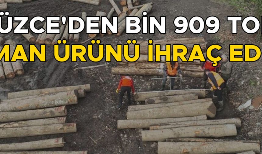 ORMAN ÜRÜNÜ İHRACATI BİR ÖNCEKİ YILI GEÇTİ