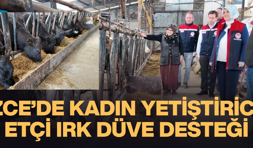 KIRSALDA BEREKET, HAYVANCILIĞA DESTEK