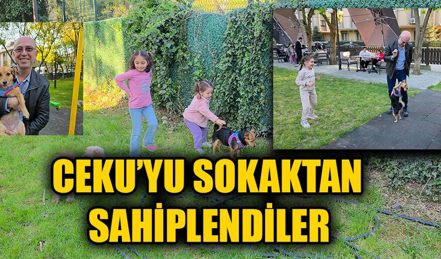 “EVİMİZİN ÇOCUĞU GİBİ OLDU”