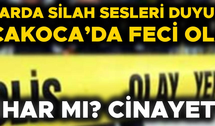 BİR KİŞİ SİLAHLA VURULDU