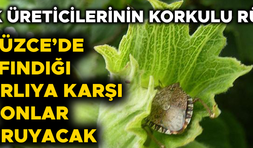 ÖNÜMÜZDEKİ GÜNLERDE BİNLERCESİ DOĞAYA SALINACAK