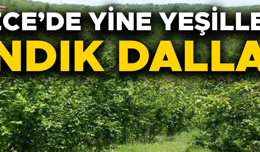 ÜRETİCİLER YENİ SEZON İÇİN ÇALIŞMALARINI SÜRDÜRÜYOR