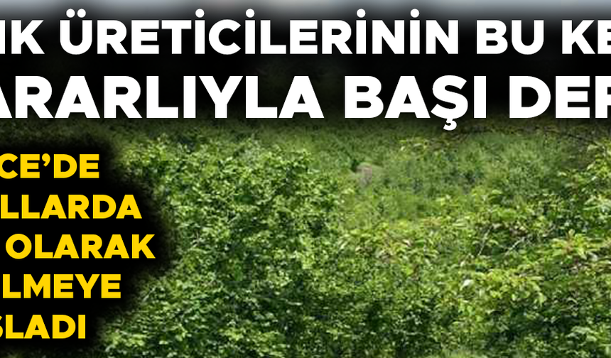 TARIM VE ORMAN İL MÜDÜRLÜĞÜ’NDEN ÜRETİCİLERE KRİTİK UYARI