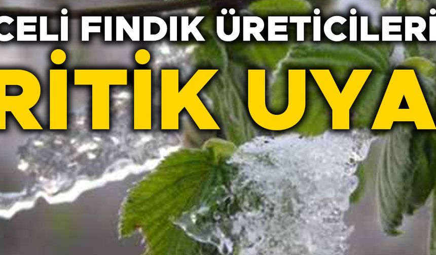 O BÖLGELERDE ZİRAİ DON RİSKİ DEVAM EDİYOR…