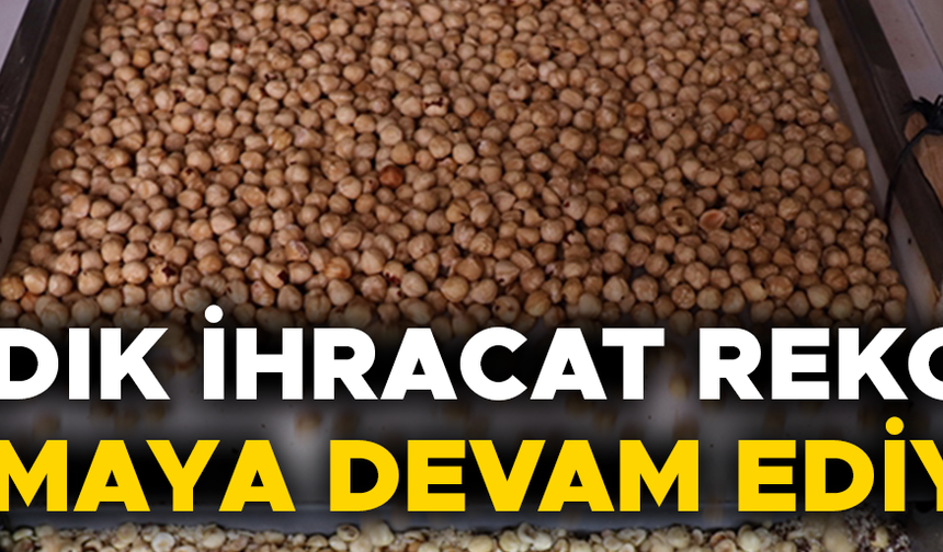 YÜZ BİNLERCE TON FINDIK İHRAÇ EDİLDİ