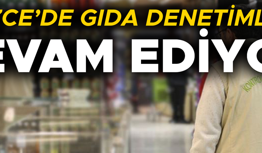 YÜZLERCE İŞYERİNDE DENETİM GERÇEKLEŞTİRİLDİ