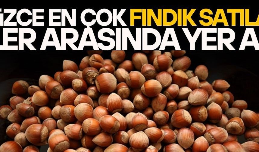 DÜZCE’DE 38 BİN TON FINDIK İŞLEM GÖRDÜ