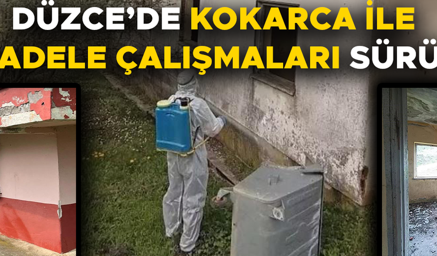 KIŞLAK ALANLARDA İLAÇLAMA ÇALIŞMASI YAPILDI