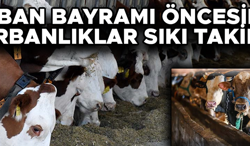 DÜZCE’DE KESİM ALANLARI VE HAYVAN PAZARINDA ÖNLEMLER ARTTIRILDI