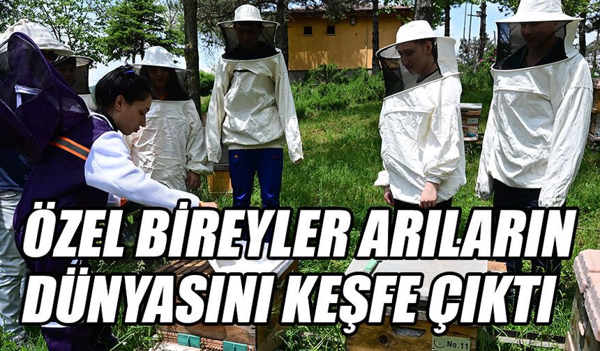 DÜNYA ARI GÜNÜ İÇİN FARKINDALIK ETKİNLİĞİ DÜZENLENDİ