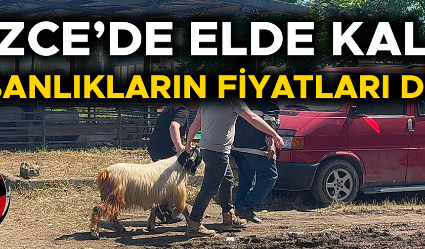 KURBAN PAZARINDAKİ HAREKETLİLİK BUGÜN DE SÜRDÜ