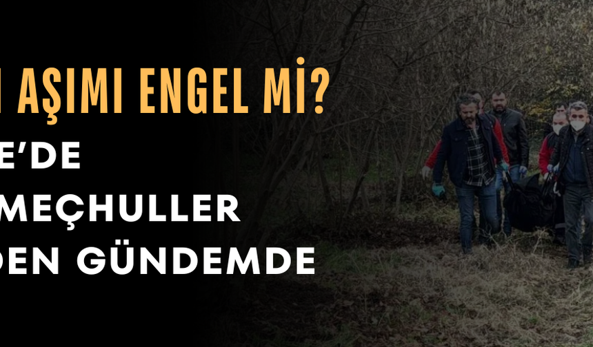 DÜZCE’DE FAİLİ MEÇHULLER RAFA KALKMIYOR