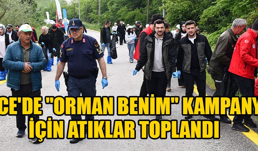 ORMAN YANGINI RİSKİ OLUŞTURAN ATIKLARI TOPLADILAR