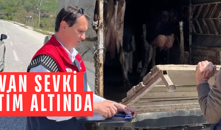 BELGESİZ HAYVAN TAŞIYAN ARAÇLARA İDARİ PARA CEZASI