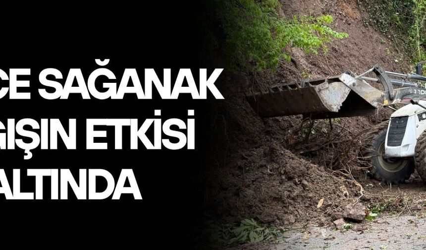 GÖLYAKA İLÇESİNDE 2 KÖY YOLUNDA TOPRAK KAYMASI