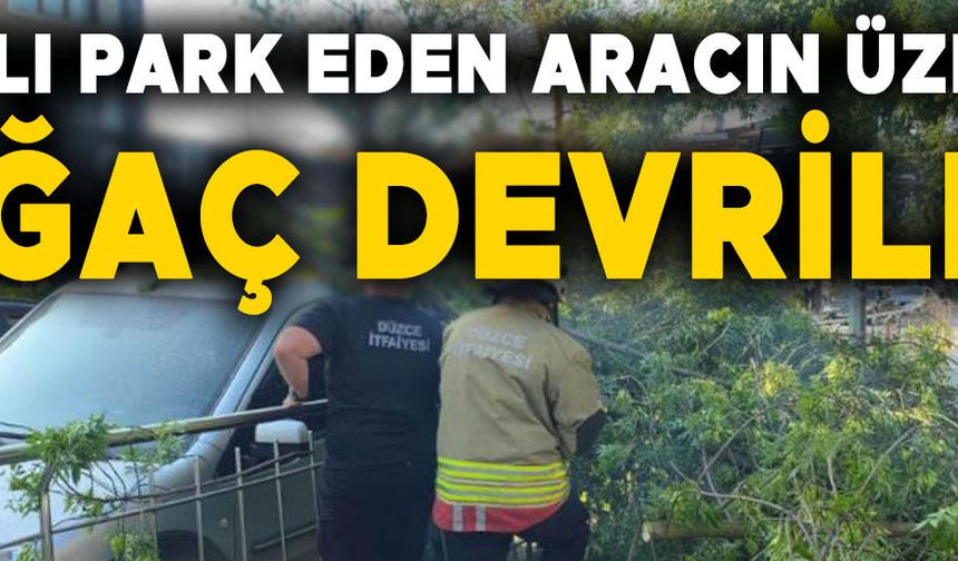 ARACI HEM HASAR ALDI HEM DE CEZAYI YEDİ…