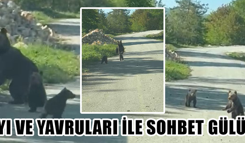 2 KARDEŞ AYILARA SESLENDİ