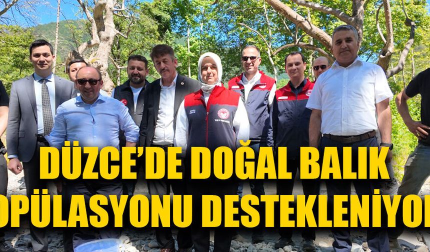 KARADERE DERESİ’NE KIRMIZI BENEKLİ ALABALIK YAVRUSU BIRAKILDI
