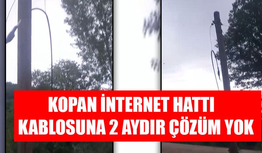 DEFALARCA BAŞVURU YAPTILAR AMA SONUÇ ALAMADILAR