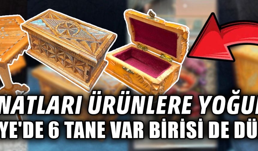 DÜZCE'Yİ EL EMEĞİ ÜRÜNLERLE ANKARA'DA TEMSİL ETTİLER