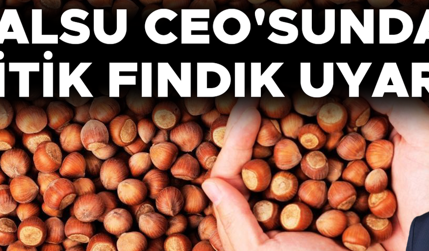 "ŞİLİ VE ABD TÜRKİYE'NİN İHRACATINI ETKİLEYEBİLECEK DÜZEYDE FINDIK ÜRETİYOR"
