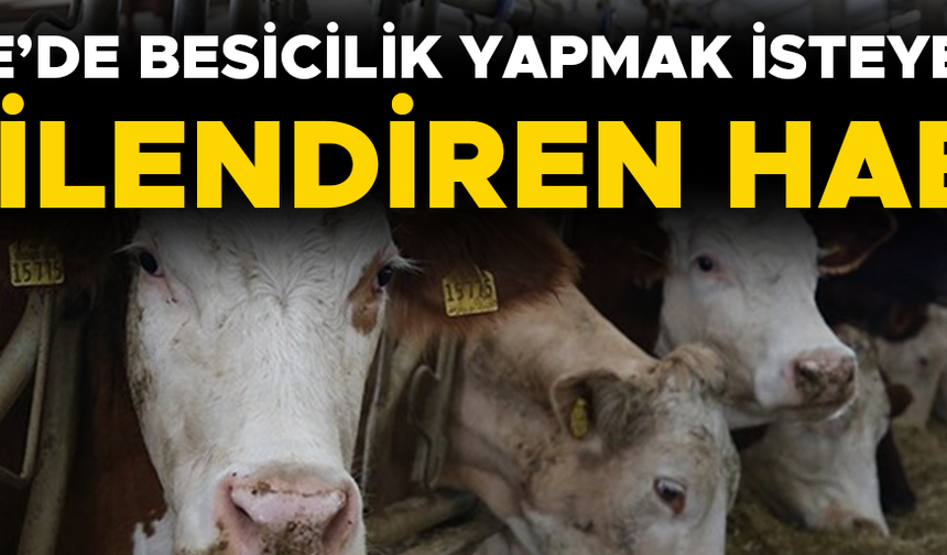 BAKAN YUMAKLI MÜJDELİ HABERİ VERDİ