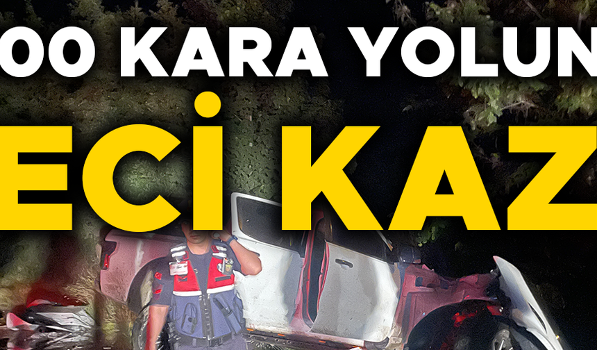 KAMYONET TIRA ÇARPTI: 3 YARALI