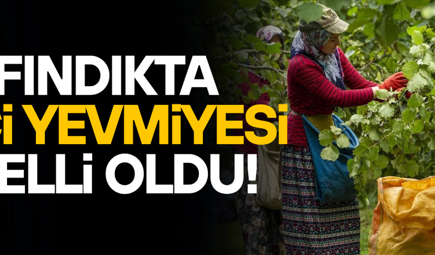 FINDIK HASADI ÖNCESİ YEVMİYE PROTOKOLÜ İMZALANDI