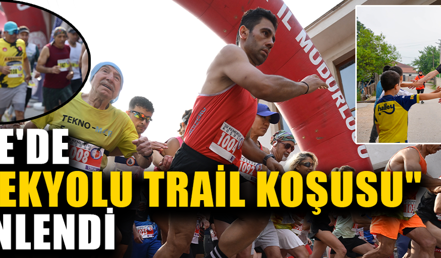 ORGANİZASYONA 28 ŞEHİRDEN KATILAN 210 SPORCU KATILDI