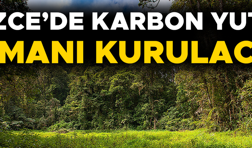 KARAR RESMİ GAZETE’DE YAYIMLANARAK YÜRÜRLÜĞE GİRDİ