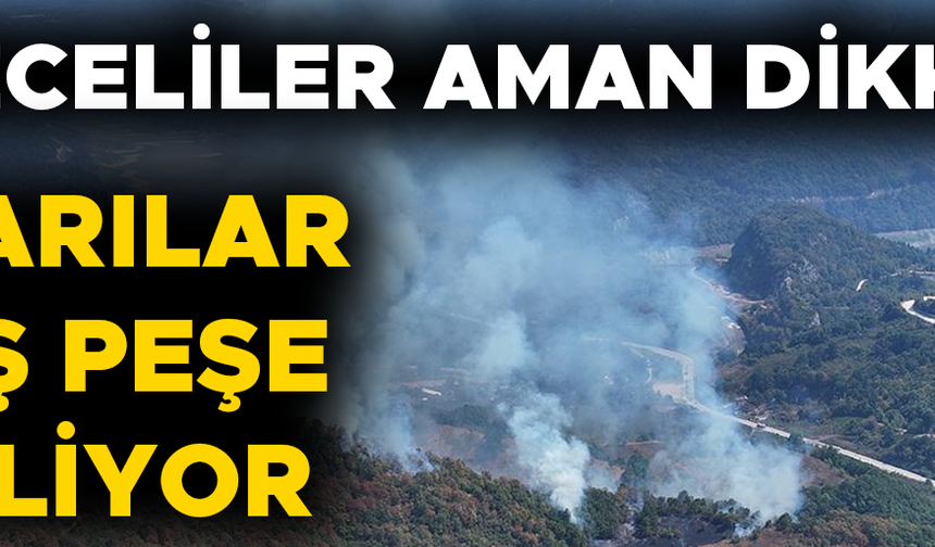 BU YAZ CİĞERLERİMİZ YANMASIN