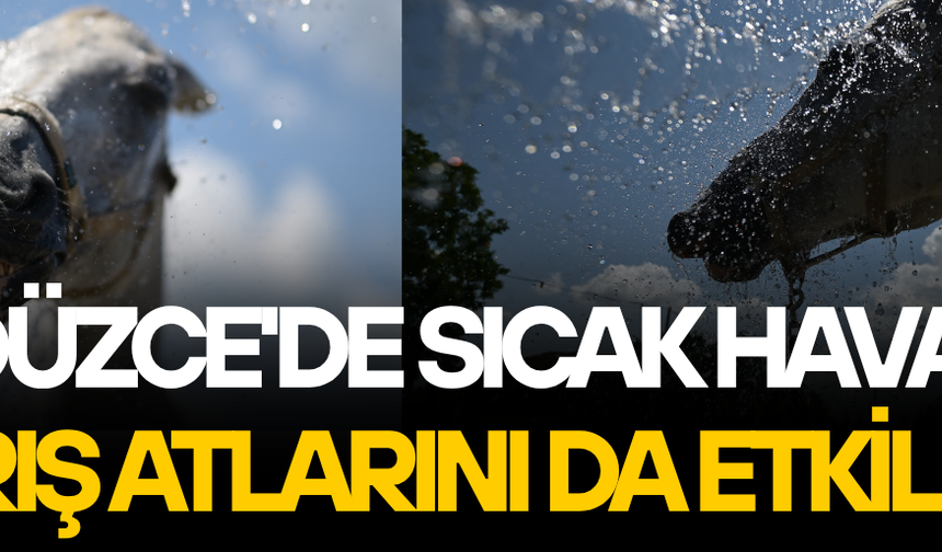 KAVURUCU SICAKTA YARIŞ ATLARI SOĞUK SUYLA SERİNLETİLİYOR