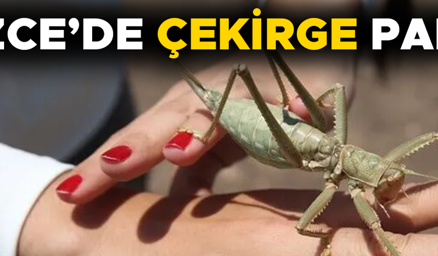 UZMANI AÇIKLAMA YAPTI…